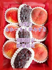 カメ吉様専用クール便