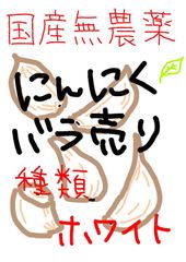 66.期間限定生にんにく新にんにく箱込み1kg色ランダム玉数お任せ