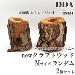 【DDA】樹液の出るクワリウム newクラフトウッド Mサイズ ランダム2個セット dda クワガタ カブトムシ えさ皿 止まり木 登り木のサムネイル