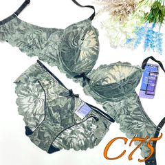 [919900]脇高ストレッチレースブラ＆ショーツセットC75/M