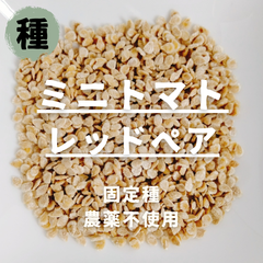 【種】ミニトマト　レッドペア　農薬不使用　15粒