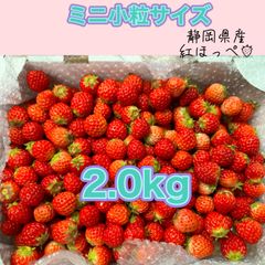 ミニ小粒　2.0kg　紅ほっぺ　いちご 🍓