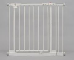 Item thumbnail for item 52d938b5-9763-4ab4-9b2c-c80b51bdf9ba