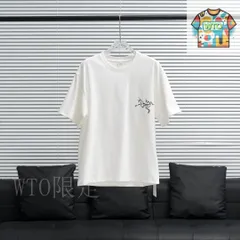 【今日WTO】ARC'TERYX アークテリックス バックグランドバード T シャツ-TU22