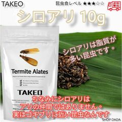 【昆虫スナック】シロアリ 10g
