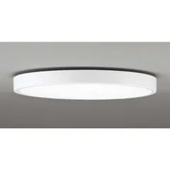 OG254815 オーデリック LEDアウトドアシーリングライト n5ksbvb OG254815 オーデリック LEDアウトドアシーリングライト n5ksbvb