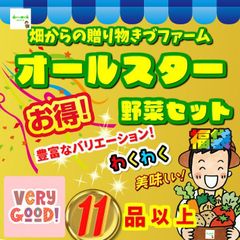 ☆農薬や化学肥料を不使用、または減農薬で育てた野菜たちです！畑からの贈り物きづファームオールスター野菜セット１１品以上！