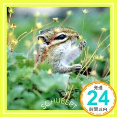 ☆かたぱんさま専用☆ おまとめオーダー フライヤー2種セット ご注文品