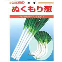 カネコ種苗　ぬくもり葱　２０ｍｌ