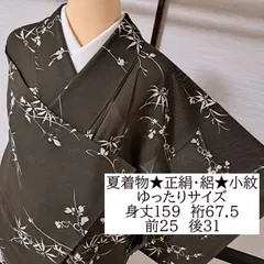 2025年最新】夏着物 絽 夏きものの人気アイテム - メルカリ
