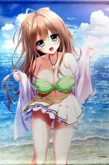 【中古】タペストリー [単品] 真澄あい 描き下ろしB2タペストリー 「PS4/Switchソフト 罪ノ光ランデヴー ファミ通DXパック 3Dクリスタルセット」 同梱特典