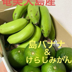 最終！◎無農薬栽培◎島バナナとけらじみかん