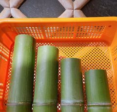 竹