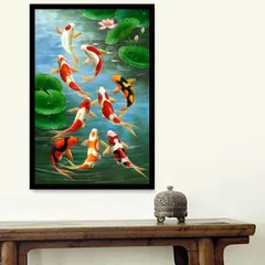 錦鯉土俵入り 錦鯉土俵入り