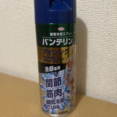 バンテリン コールドスプレー アイシング 24本 - メルカリ