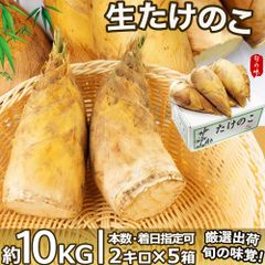 生たけのこ 約10kg 5~10本入×5箱 中国産タケノコ 旬の食材 冬笋 竹笋
