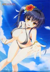 【中古】タペストリー 城ヶ崎絢華 描き下ろしB2タペストリー 「PS4/PS VITA/Switchソフト 金色ラブリッチェ 完全生産限定版 GOLDEN BOX」 トレーダー特典
