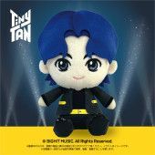 BTS TinyTAN Jung Kook 뿌리누이 봉제인형 앉아