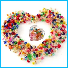 【早発送】ドライフラワー 300個入り 押し花 ミニ 小さい 花 マルチカラー レジン用  手作り素材 色が豊富だ デコ素材 手芸クラフト ネイルペンダント