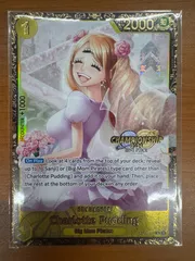 2025年最新】シャーロット・プリン psa10の人気アイテム - メルカリ