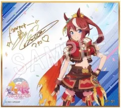 PSA10 トウカイテイオー SP サイン PSA10 トウカイテイオー SP サイン