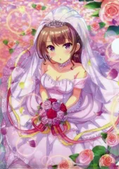 オンゲキ bright MEMORY クリアーファイル9枚組 非売品 2025年最新】オンゲキ ファイルの人気アイテム - メルカリ