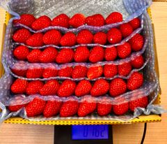 小粒中粒サイズ  紅ほっぺ いちご🍓