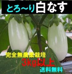 トロ～り 白なす 白茄子 白ナス　3kg以上　農薬不使用　宅急便80サイズ