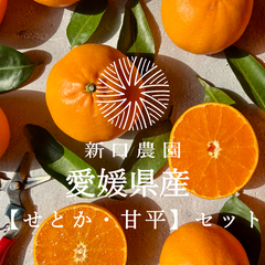 【産地直送】愛媛県八幡浜産【せとか2kg＋甘平2kg】