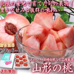 【予約：8/15～9/20出荷予定】山形もも 約3kg 6～10玉 山形県産 贈答規格 桃の北限で育てた抜群の味！ギフト最適な豊かな甘さ