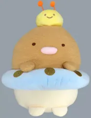 【中古】ぬいぐるみ とんかつ ぬいぐるみ 「すみっコぐらし ネオ・すみっコくじ Part2」 ぬいぐるみ賞