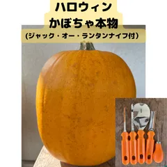 2023年最新】ハロウィンかぼちゃ本物の人気アイテム - メルカリ