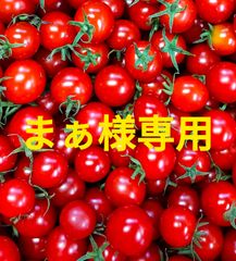 まぁ様専用　３kg＋100g 　クール便