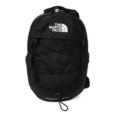極美品！THENORTHFACE BOREALISMINI ブラック THE NORTH FACE デイバック リュック 国内未発売 USモデル FACE