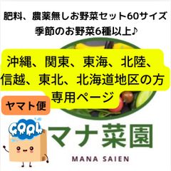 農薬、化学肥料不使用。お野菜詰め合わせ60サイズ♪冷蔵便九州から遠い地方の方