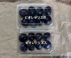 いちじく　ビオレソリエス　クール便