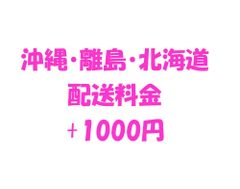 沖縄・離島・北海道配送料金