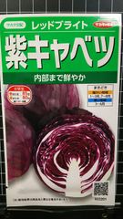 紫キャベツ レッドブライト 種 郵便 ３袋セット