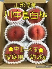 山形県産 桃「川中島白桃」家庭用 約２Kg