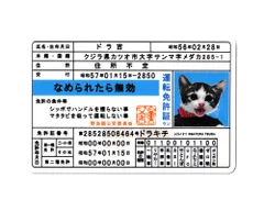 ⭐️希少品⭐️なめ猫免状等 2025年最新】免許証 ゴールド なめ猫の人気アイテム - メルカリ