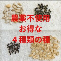 【お得な4種類の種・ 農薬不使用】かぼちゃ、冬瓜、オクラ、花オクラ