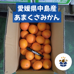 【愛媛県中島産】 あまくさみかん
