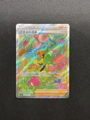 【未使用品】ナタネの活気 SAR 【9枚セット】 2025年最新】ナタネの活気 sarの人気アイテム - メルカリ