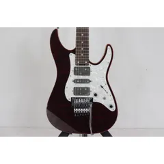 SCHECTER SD-2-24-BW