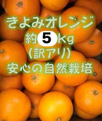 2024年最新】清見オレンジの人気アイテム - メルカリ