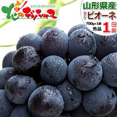 【予約/9月中旬(9月19日)頃～出荷予定】 山形県産 ぶどう ピオーネ 1房 (秀品/700g×1房) ブドウ 葡萄 ギフト 贈り物 お祝い 内祝い プレゼント ご家庭用 果物 フルーツ 山形県 山形県直送 グルメ お取り寄せ