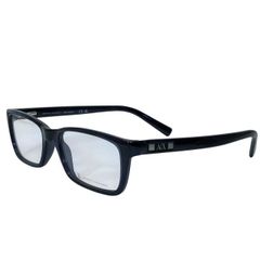 ARMANI EXCHANGE アルマーニ エクスチェンジ AX3007 8005 53□17 145 サングラス メガネ アイウェア 小物 ロゴ プラスチック ブラック