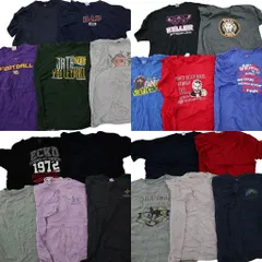 古着卸 まとめ売り カラーmix プリント 半袖Tシャツ 20枚セット (メンズ 2XL ) ナイキ アニマル 動物 犬 中古 古着 MY5766