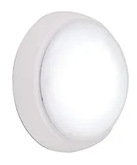 2025年最新】スワン LED浴室灯 (昼光色/電球色 カラーチェンジ