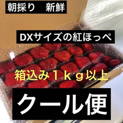 いちご　紅ほっぺDX